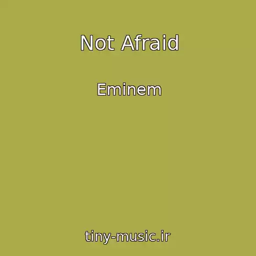 کاور آهنگ Not Afraid از Eminem