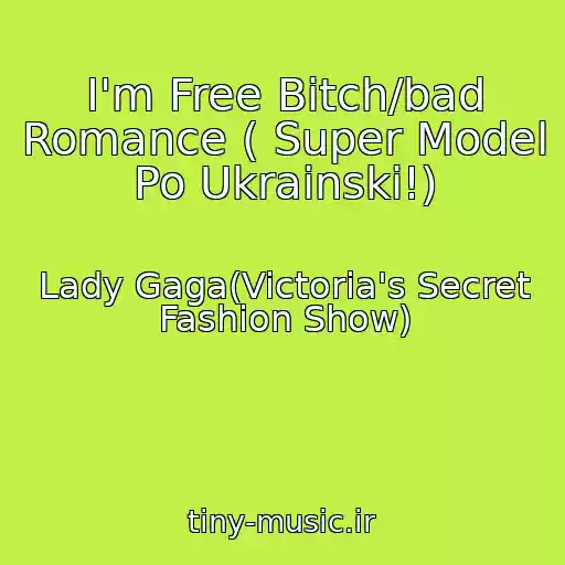 کاور آهنگ I'm Free Bitch/bad Romance ( Super Model Po Ukrainski!) از Lady Gaga(Victoria's Secret Fashion Show)