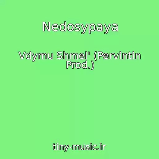 کاور آهنگ Nedosypaya از Vdymu Shmel' (Pervintin Prod.)