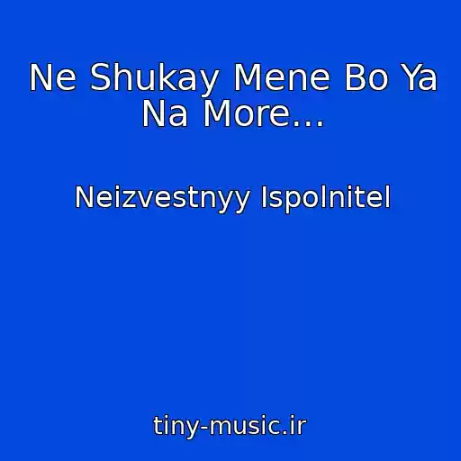 کاور آهنگ Ne Shukay Mene Bo Ya Na More... از Neizvestnyy Ispolnitel