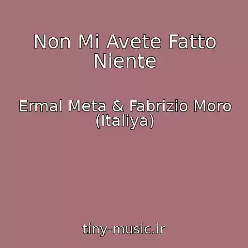 کاور آهنگ Non Mi Avete Fatto Niente از Ermal Meta & Fabrizio Moro (Italiya)
