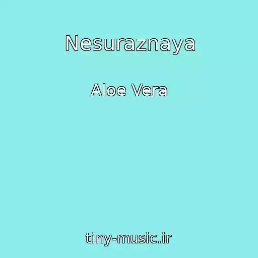 کاور آهنگ Nesuraznaya از Aloe Vera