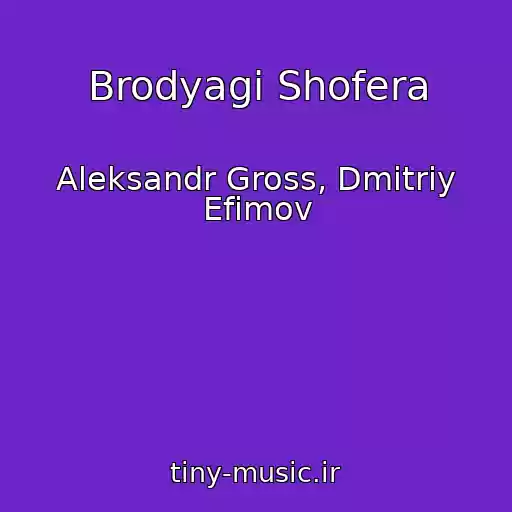 کاور آهنگ Brodyagi Shofera از Aleksandr Gross, Dmitriy Efimov