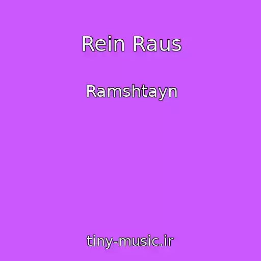 کاور آهنگ Rein Raus از Ramshtayn