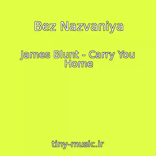 کاور آهنگ Bez Nazvaniya از James Blunt - Carry You Home