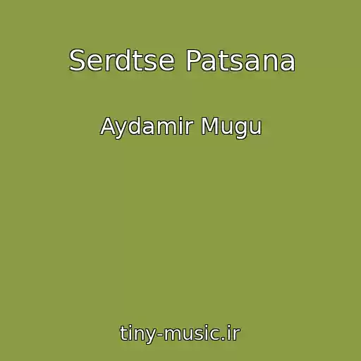 کاور آهنگ Serdtse Patsana از Aydamir Mugu