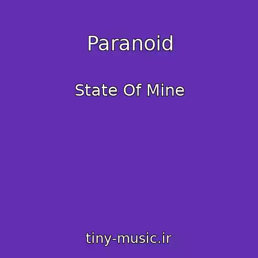 کاور آهنگ Paranoid از State Of Mine