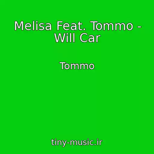کاور آهنگ Melisa Feat. Tommo - Will Car از Tommo