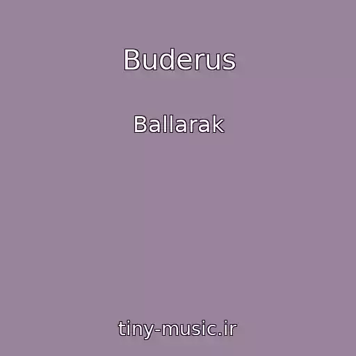 کاور آهنگ Buderus از Ballarak