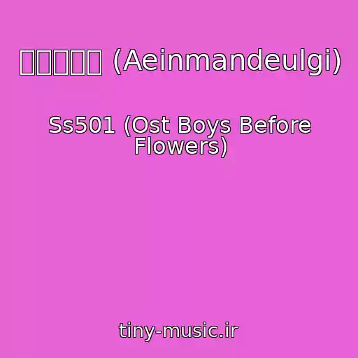 کاور آهنگ 애인만들기 (Aeinmandeulgi) از Ss501 (Ost Boys Before Flowers)