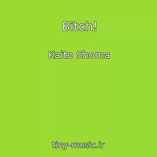 کاور آهنگ Bitch! از Kaito Shoma