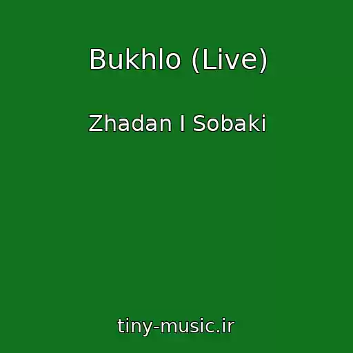 کاور آهنگ Bukhlo (Live) از Zhadan I Sobaki