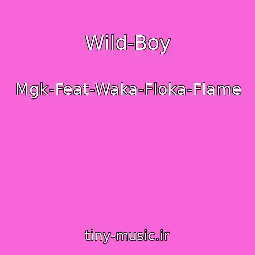 کاور آهنگ Wild-Boy از Mgk-Feat-Waka-Floka-Flame