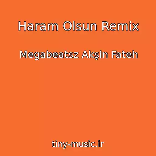 کاور آهنگ Haram Olsun Remix از Megabeatsz Akşin Fateh