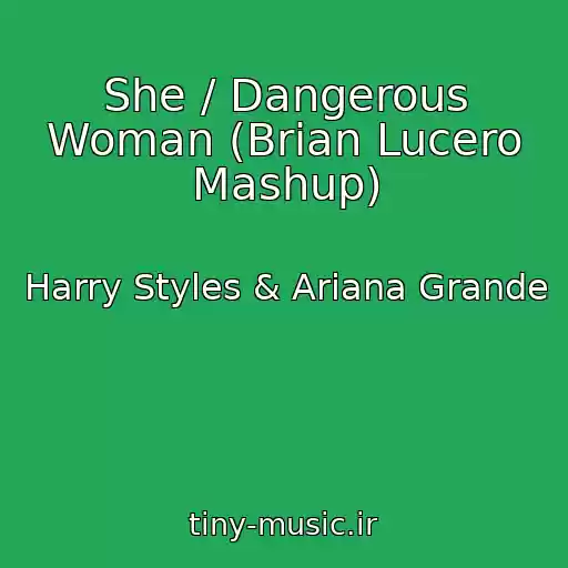 کاور آهنگ She / Dangerous Woman (Brian Lucero Mashup) از Harry Styles & Ariana Grande