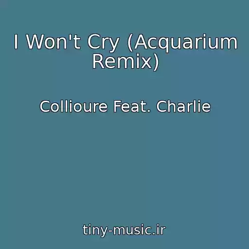 کاور آهنگ I Won't Cry (Acquarium Remix) از Collioure Feat. Charlie
