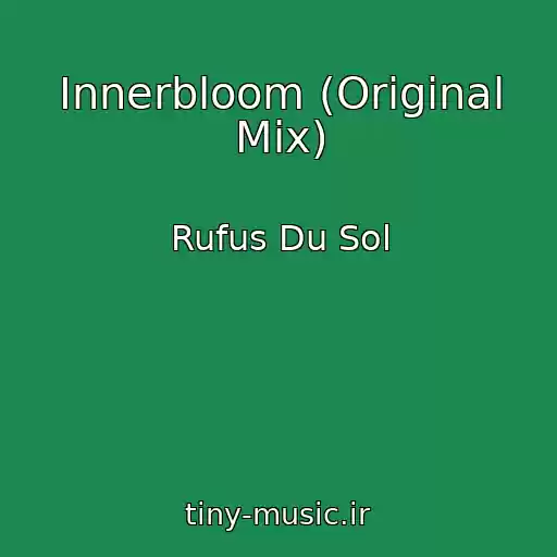 کاور آهنگ Innerbloom (Original Mix) از Rufus Du Sol