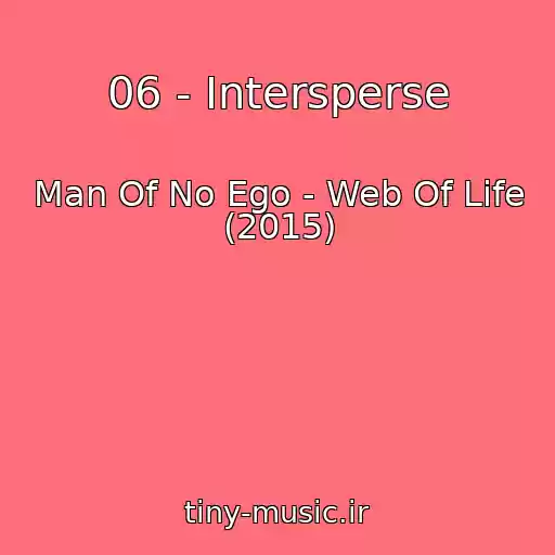 کاور آهنگ 06 - Intersperse از Man Of No Ego - Web Of Life (2015)