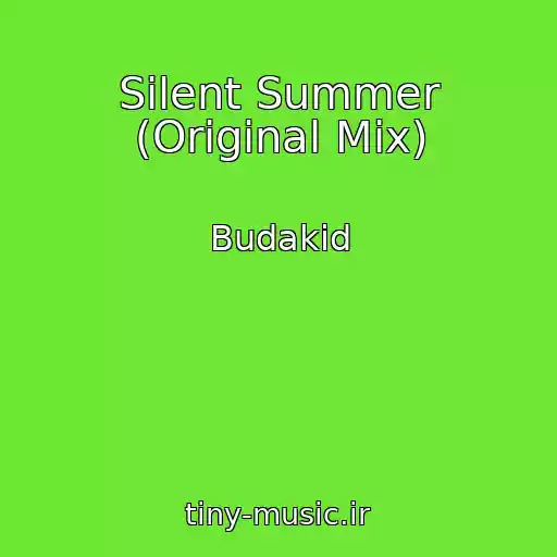 کاور آهنگ Silent Summer (Original Mix) از Budakid