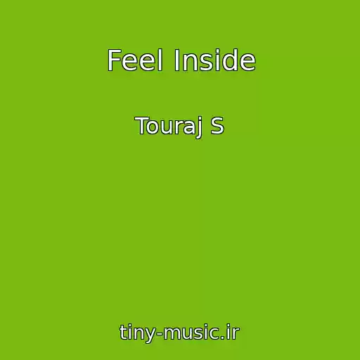 کاور آهنگ Feel Inside از Touraj S