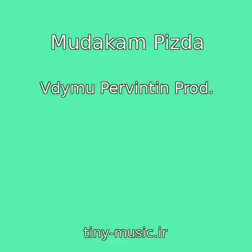 کاور آهنگ Mudakam Pizda از Vdymu Pervintin Prod.
