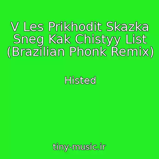 کاور آهنگ V Les Prikhodit Skazka Sneg Kak Chistyy List (Brazilian Phonk Remix) از Histed