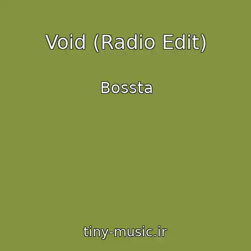 کاور آهنگ Void (Radio Edit) از Bossta