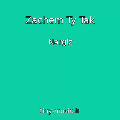 کاور آهنگ Zachem Ty Tak از Nargiz