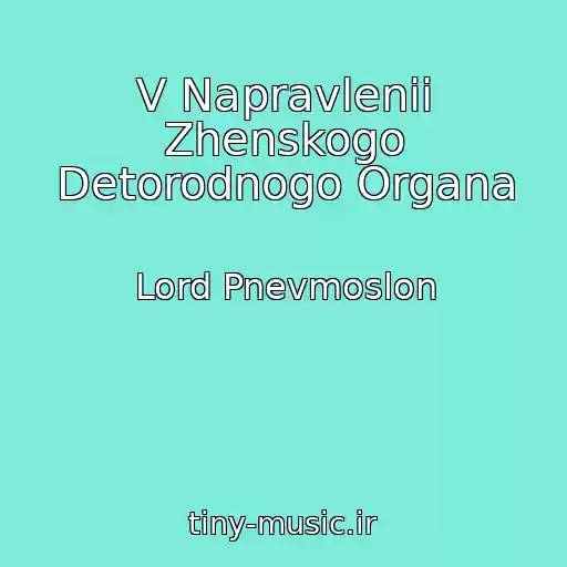 کاور آهنگ V Napravlenii Zhenskogo Detorodnogo Organa از Lord Pnevmoslon