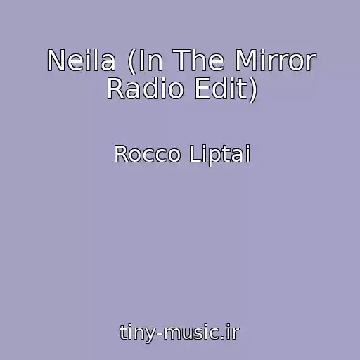 کاور آهنگ Neila (In The Mirror Radio Edit) از Rocco Liptai