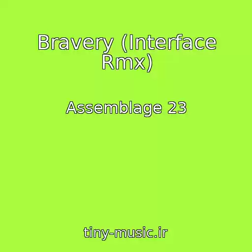 کاور آهنگ Bravery (Interface Rmx) از Assemblage 23