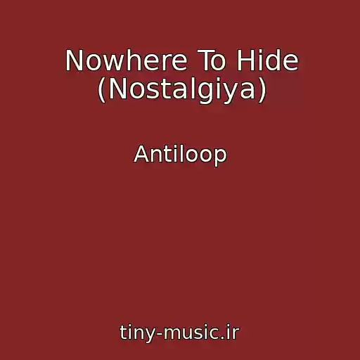 کاور آهنگ Nowhere To Hide (Nostalgiya) از Antiloop