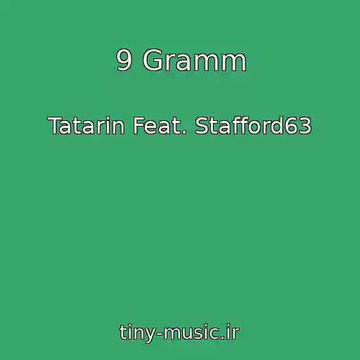 کاور آهنگ 9 Gramm از Tatarin Feat. Stafford63