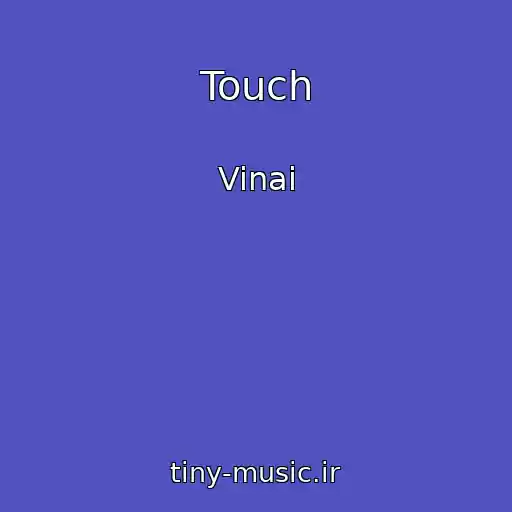 کاور آهنگ Touch از Vinai