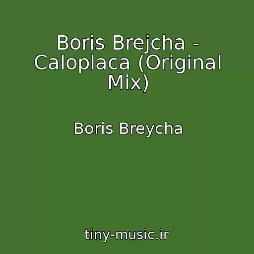 کاور آهنگ Boris Brejcha - Caloplaca (Original Mix) از Boris Breycha
