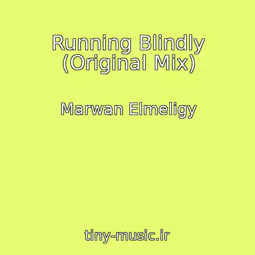 کاور آهنگ Running Blindly (Original Mix) از Marwan Elmeligy