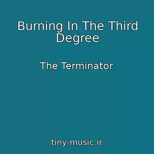 کاور آهنگ Burning In The Third Degree از The Terminator