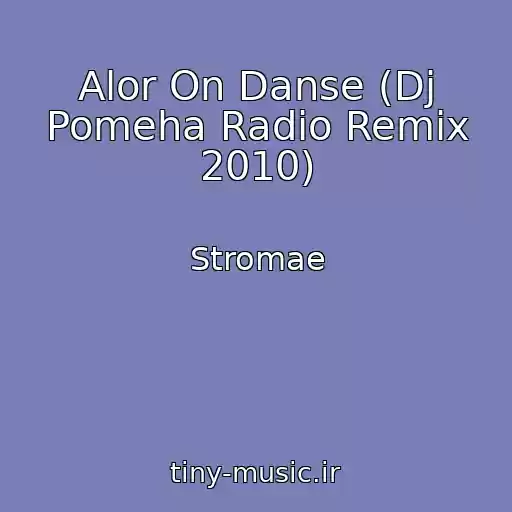 کاور آهنگ Alor On Danse (Dj Pomeha Radio Remix 2010) از Stromae