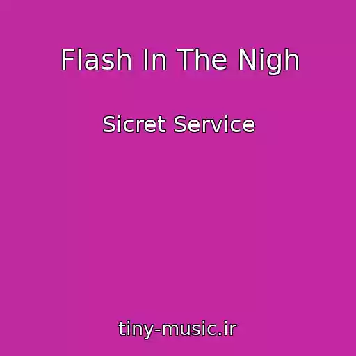 کاور آهنگ Flash In The Nigh از Sicret Service