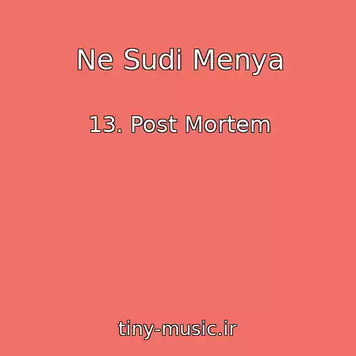 کاور آهنگ Ne Sudi Menya از 13. Post Mortem