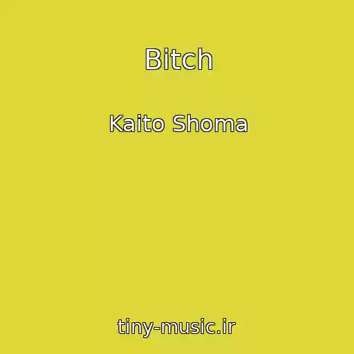 کاور آهنگ Bitch از Kaito Shoma