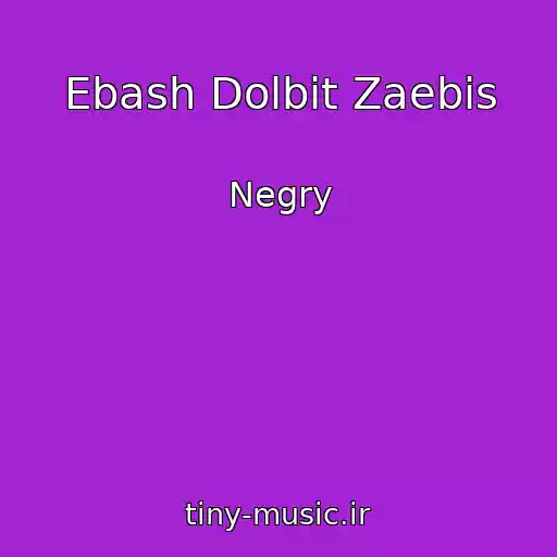 کاور آهنگ Ebash Dolbit Zaebis از Negry