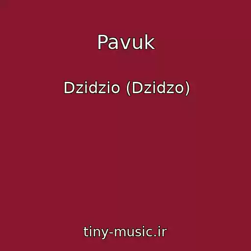 کاور آهنگ Pavuk از Dzidzio (Dzіdzo)
