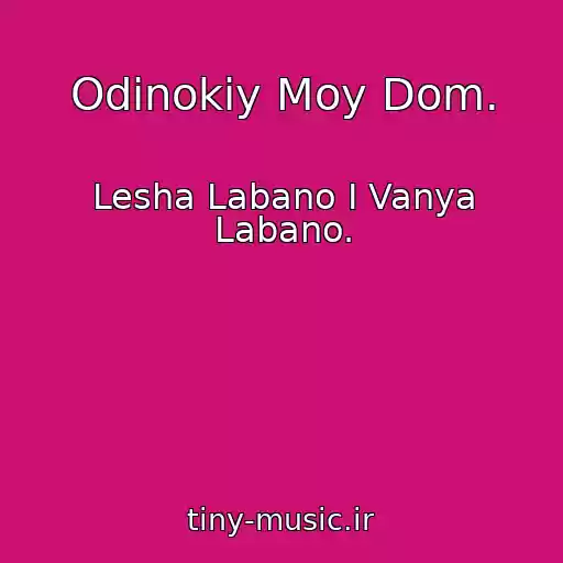 کاور آهنگ Odinokiy Moy Dom. از Lesha Labano I Vanya Labano.