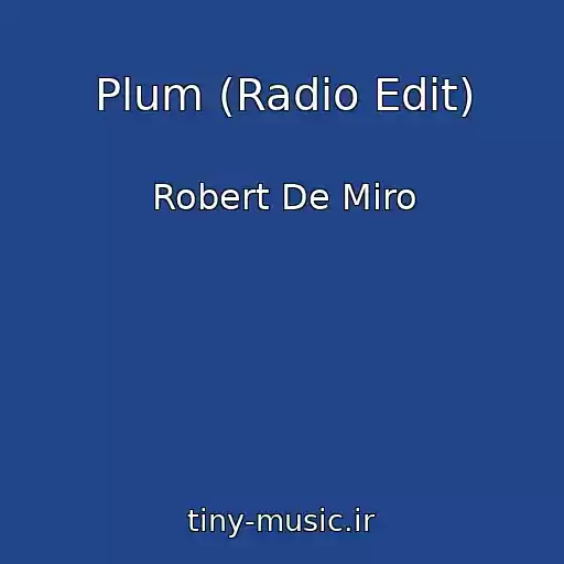 کاور آهنگ Plum (Radio Edit) از Robert De Miro