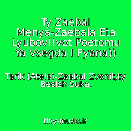 کاور آهنگ Ty Zaebal Menya-Zaebala Eta Lyubov!!vot Poetomu Ya Vsegda I Pyana)) از Tarik (Atele)-Zaebal Zvonit,ty Besish Suka.