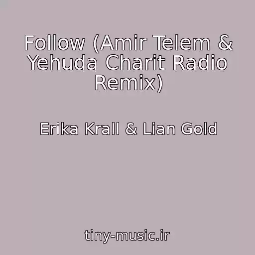 کاور آهنگ Follow (Amir Telem & Yehuda Charit Radio Remix) از Erika Krall & Lian Gold