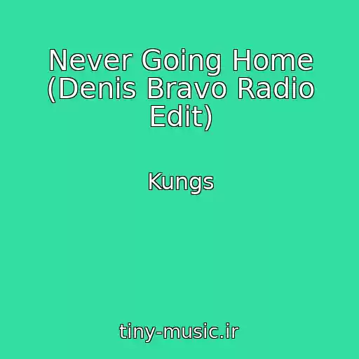 کاور آهنگ Never Going Home (Denis Bravo Radio Edit) از Kungs