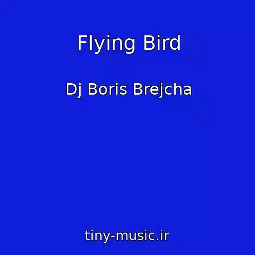 کاور آهنگ Flying Bird از Dj Boris Brejcha