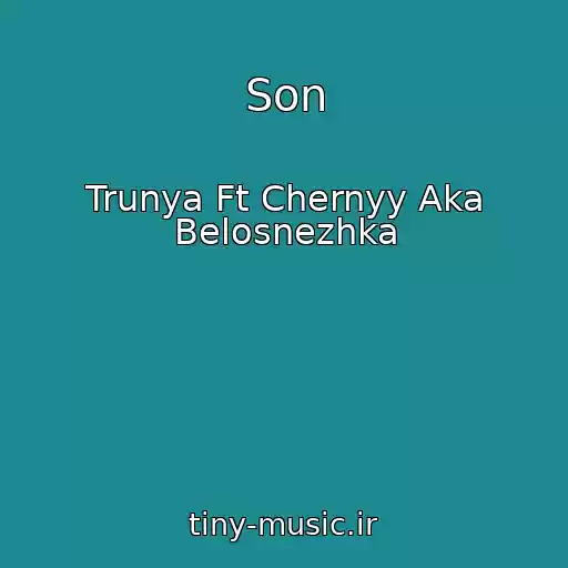 کاور آهنگ Son از Trunya Ft Chernyy Aka Belosnezhka